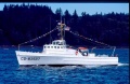 Black Cat Models 83 1/144   USCG