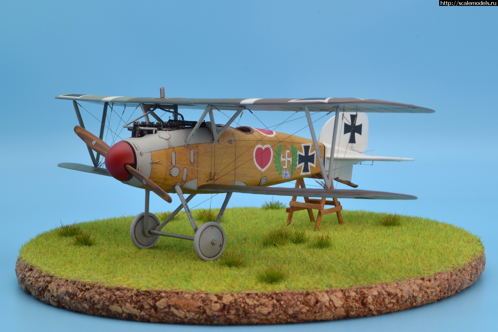 1622462570_100.JPG : #1688425/ Albatros D III 1/48 Eduard. Werner Voss. .  