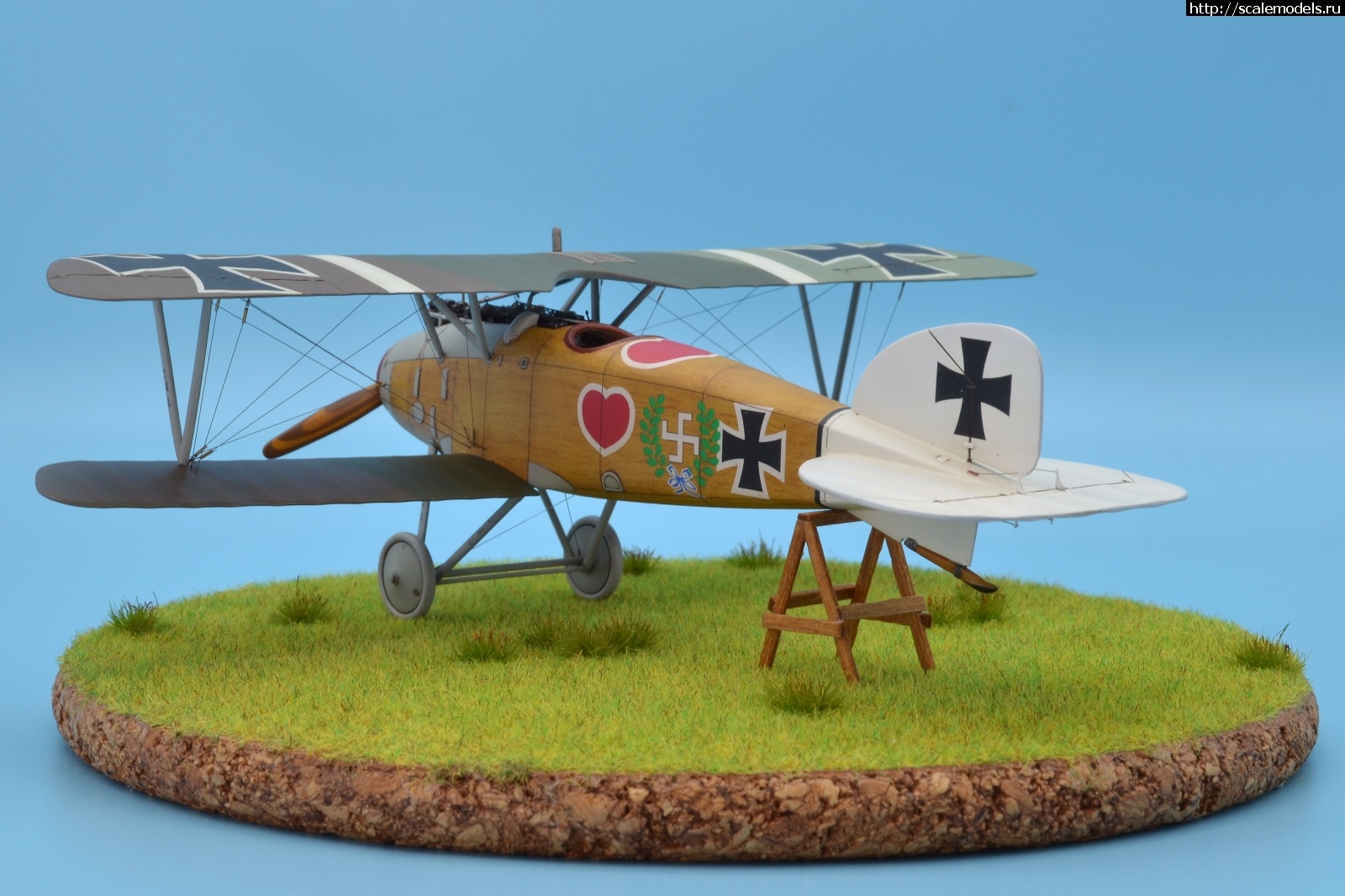 1622462578_102.JPG : #1688425/ Albatros D III 1/48 Eduard. Werner Voss. .  