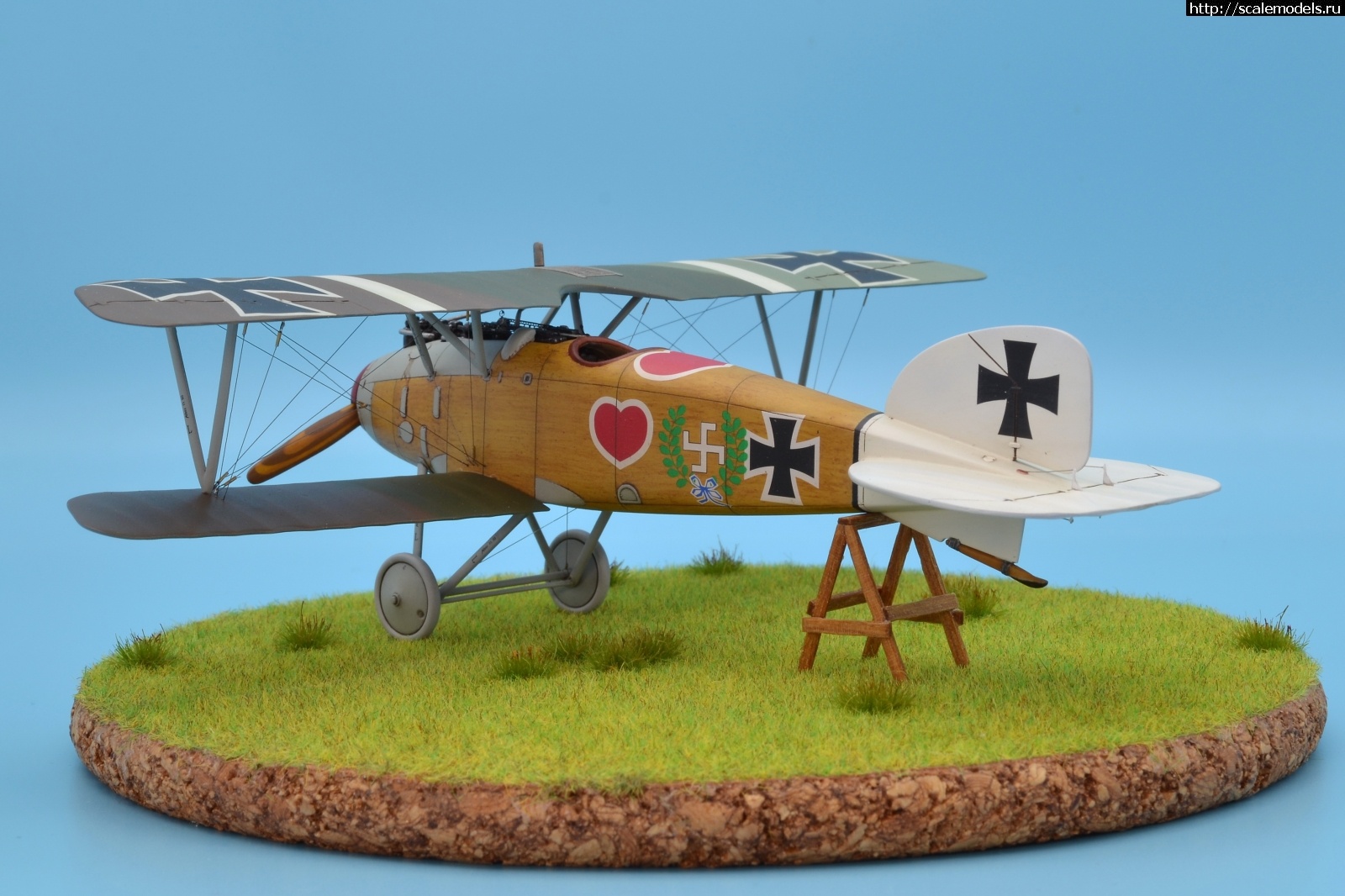 1622462583_103.JPG : #1688425/ Albatros D III 1/48 Eduard. Werner Voss. .  