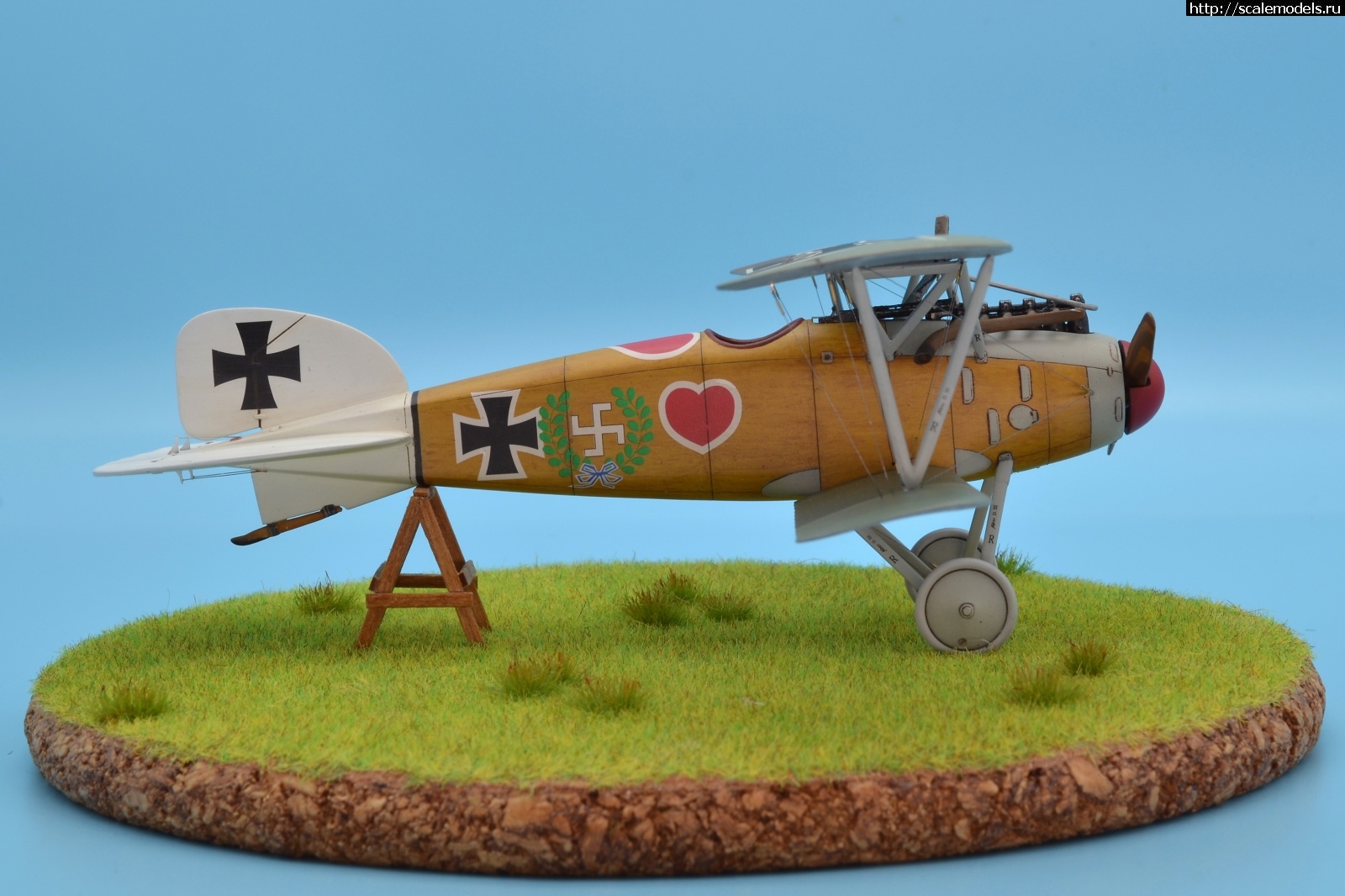 1622462593_105.JPG : #1688425/ Albatros D III 1/48 Eduard. Werner Voss. .  