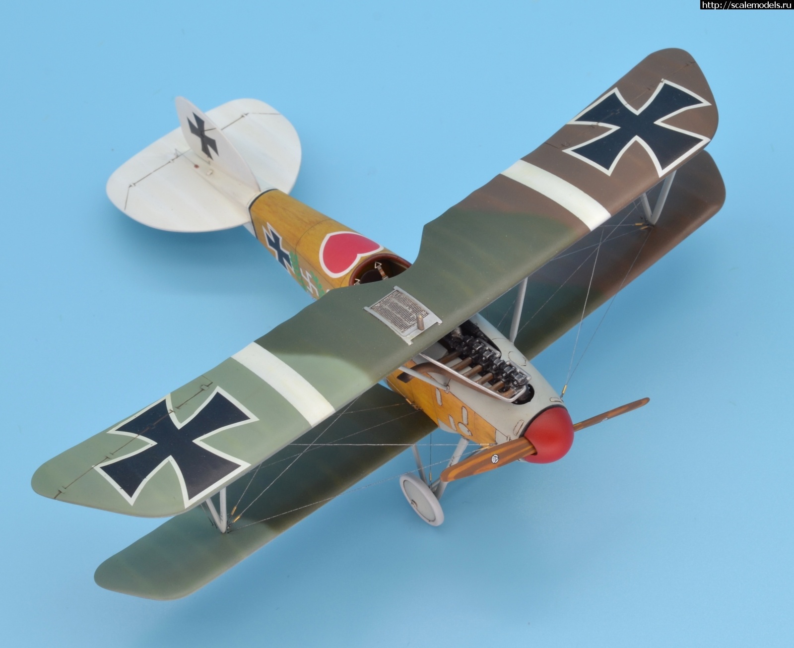 1622463632_122.JPG : #1688425/ Albatros D III 1/48 Eduard. Werner Voss. .  