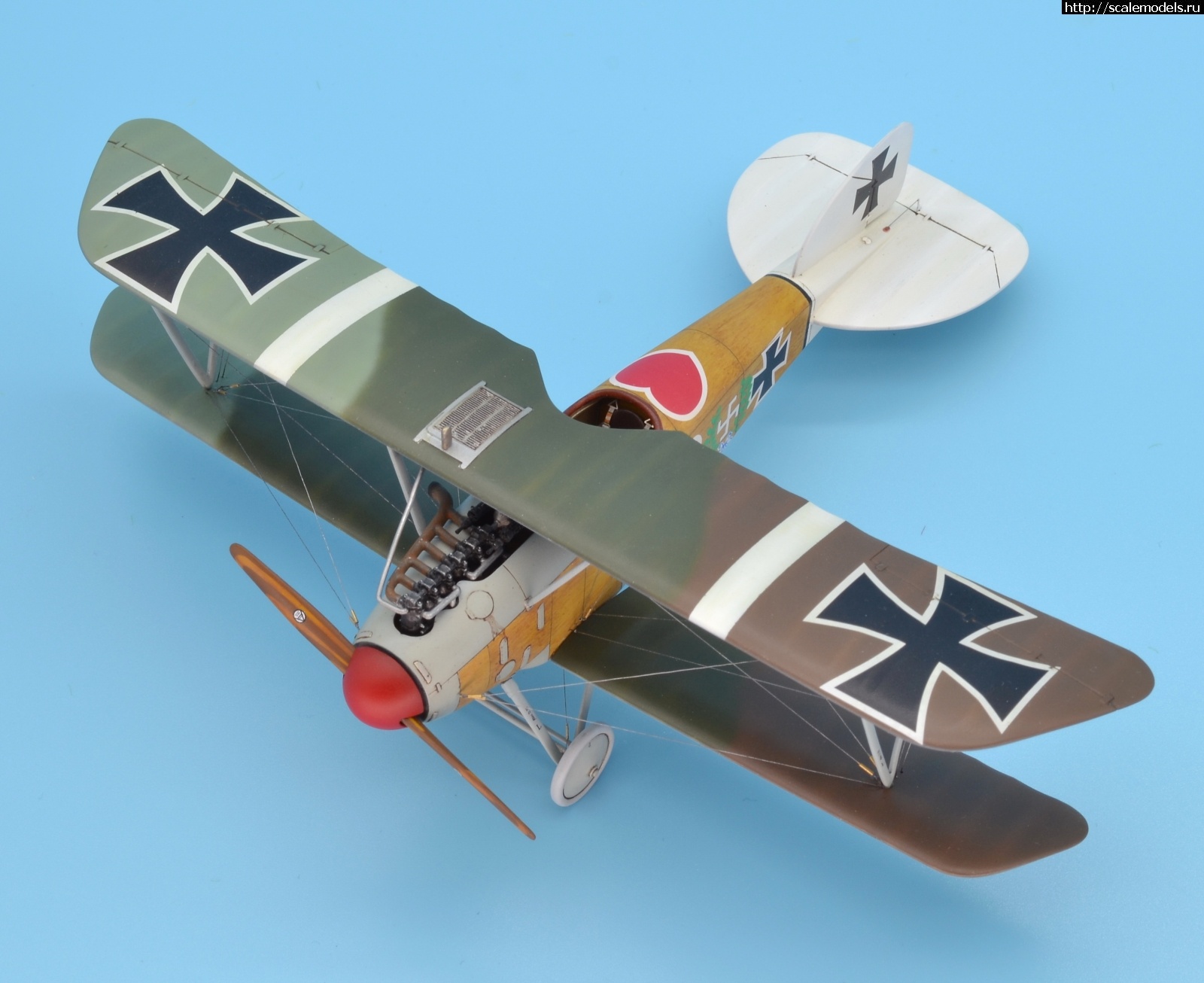 1622463635_123.JPG : #1688425/ Albatros D III 1/48 Eduard. Werner Voss. .  