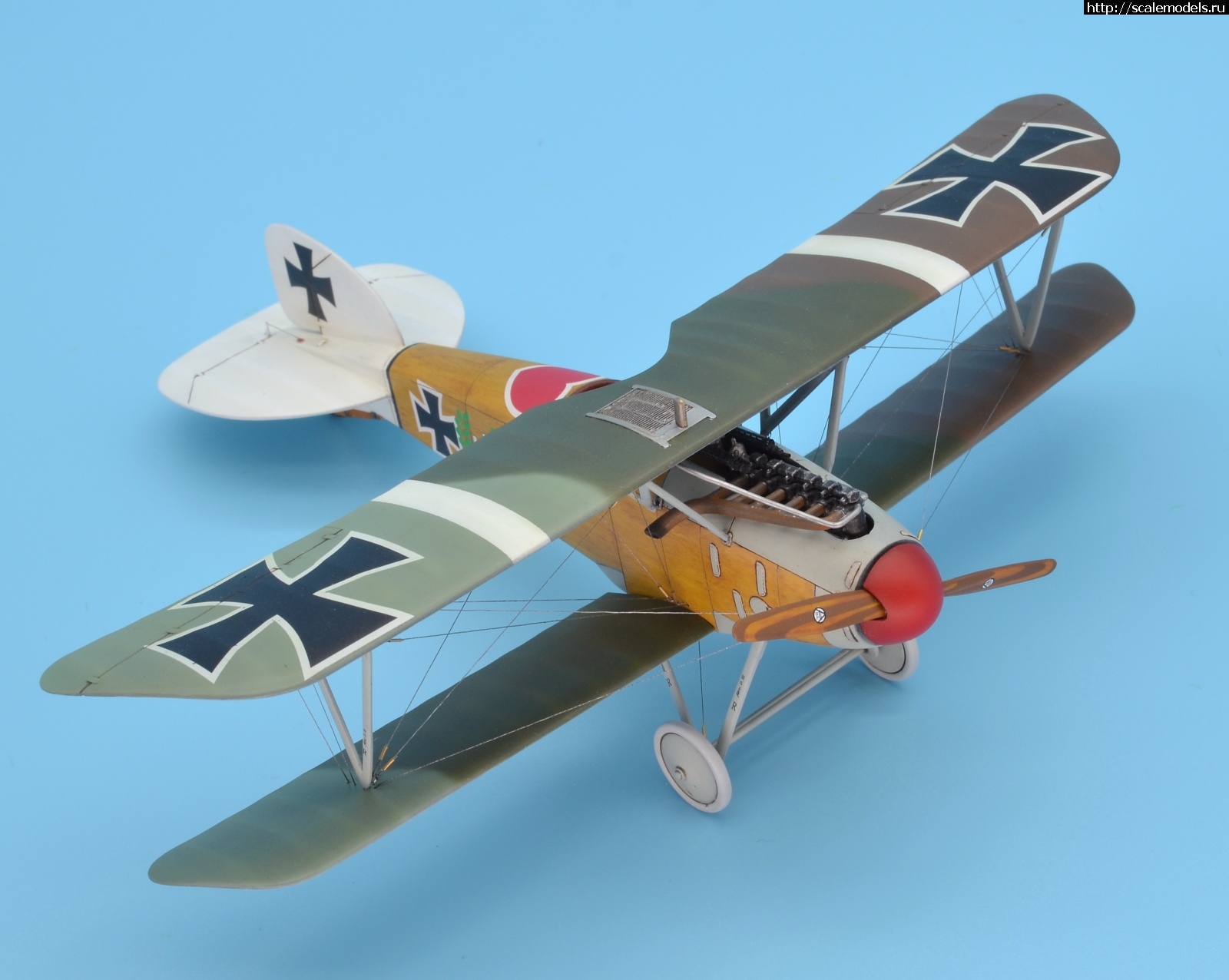 1622463646_127.JPG : #1688425/ Albatros D III 1/48 Eduard. Werner Voss. .  