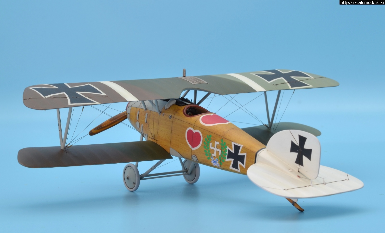 1622463653_130.JPG : #1688425/ Albatros D III 1/48 Eduard. Werner Voss. .  