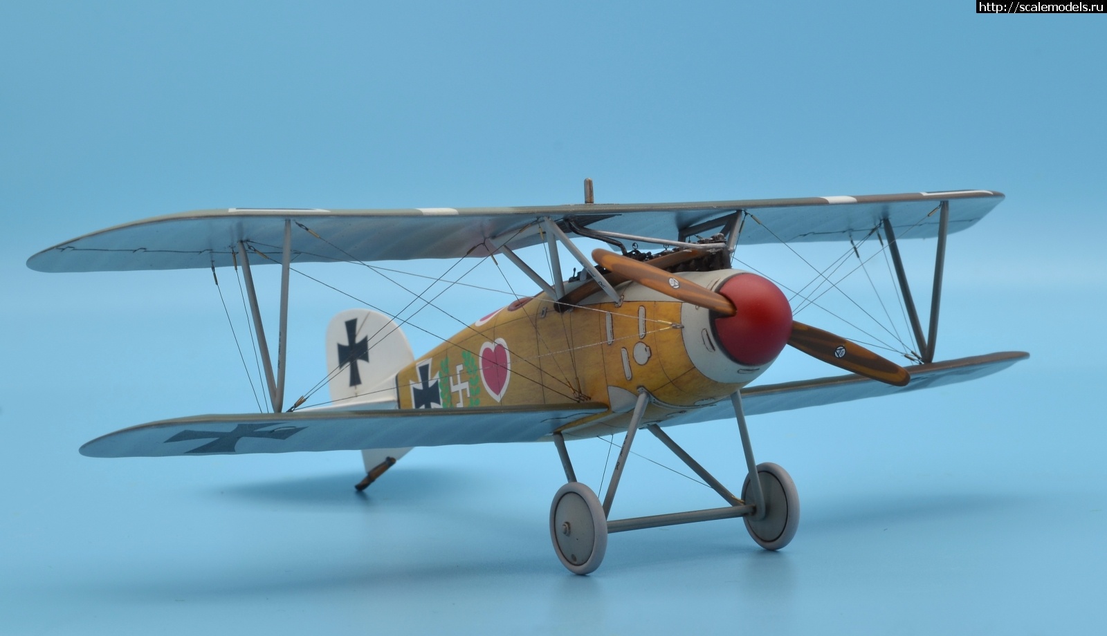 1622463658_132.JPG : #1688425/ Albatros D III 1/48 Eduard. Werner Voss. .  