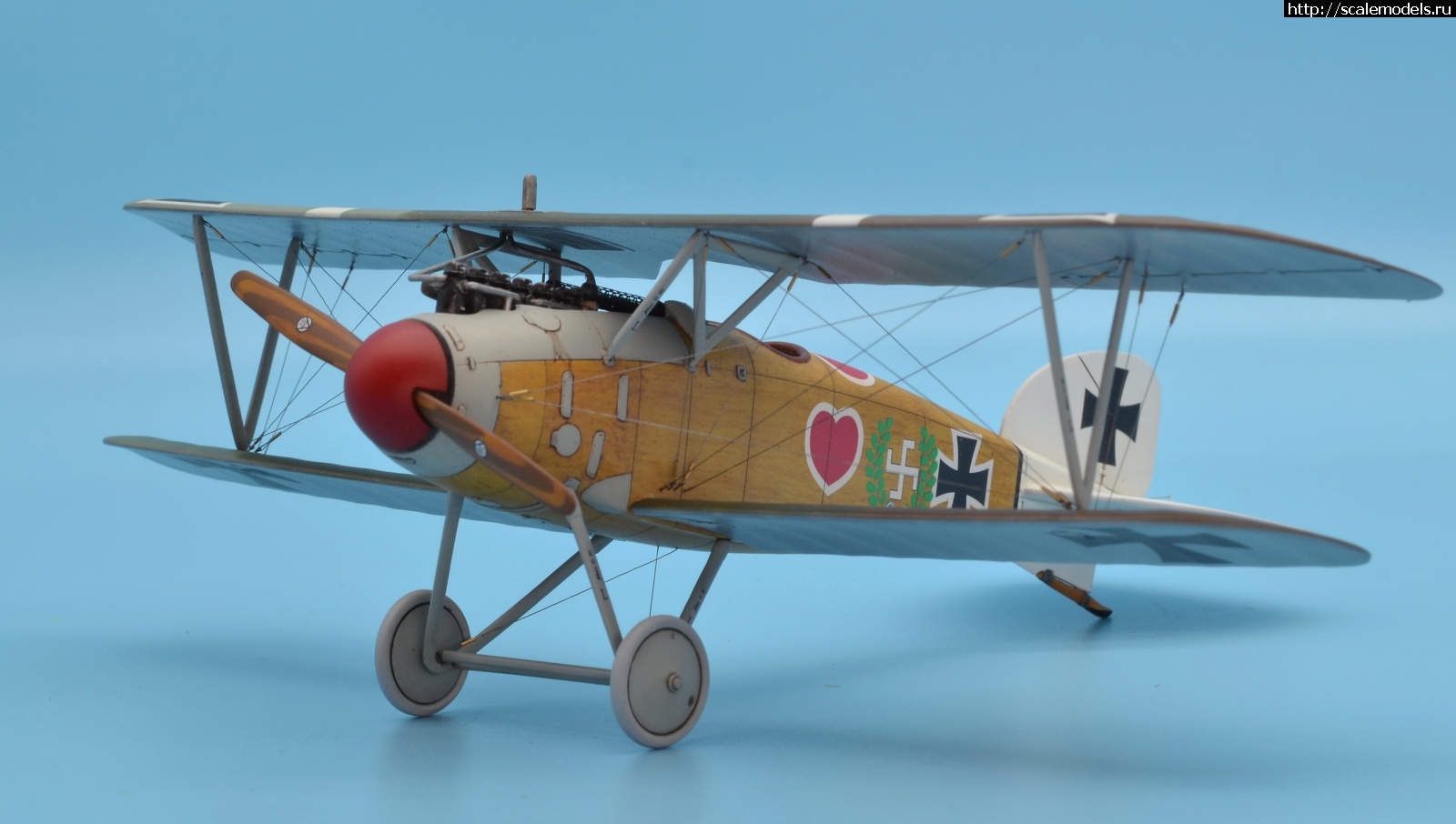 1622463660_133.JPG : #1688425/ Albatros D III 1/48 Eduard. Werner Voss. .  