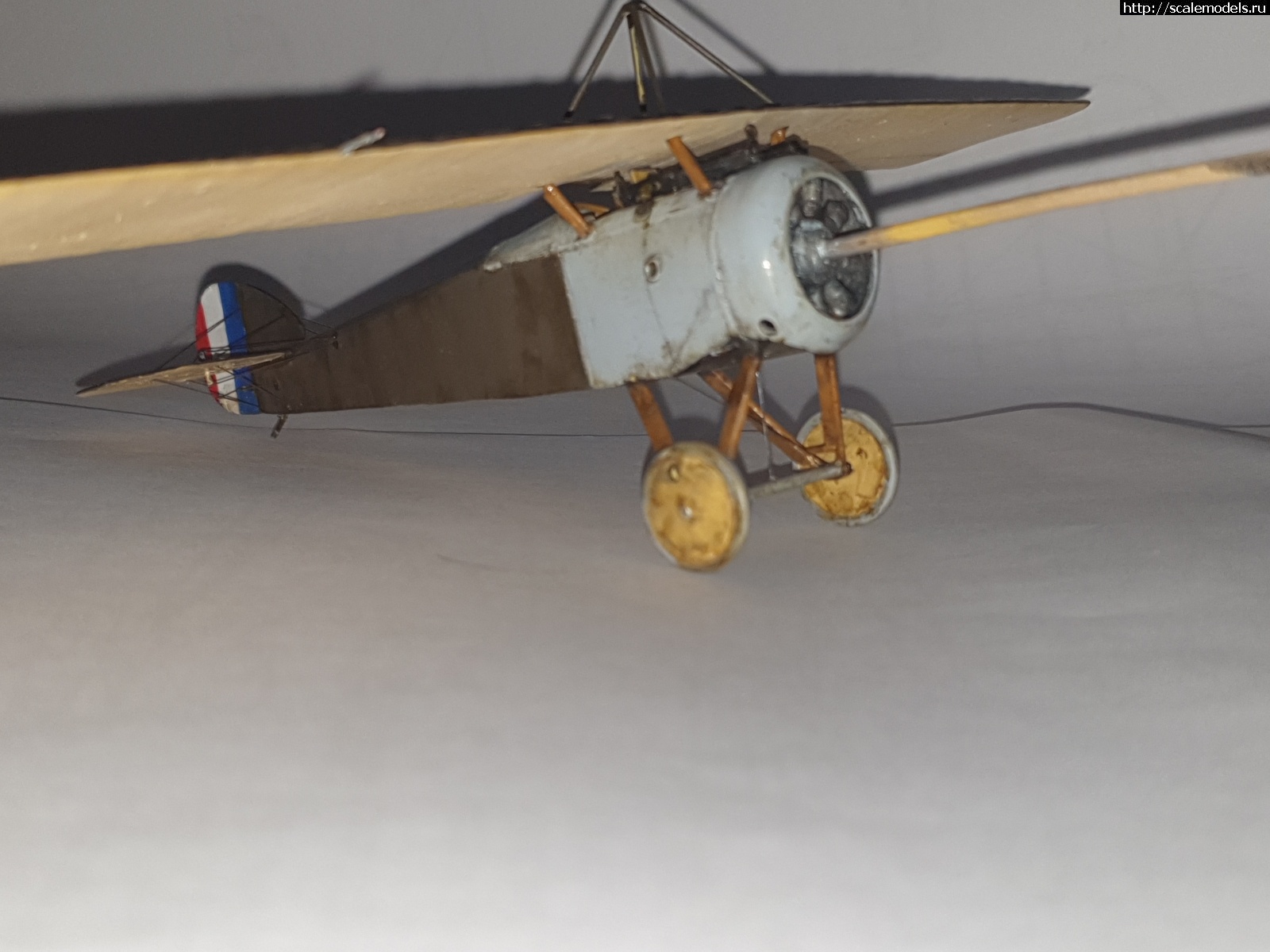 1623038324_20210607_064801.jpg : #1689406/ Sopwith swallow 1/48 Spin+ Eduard   