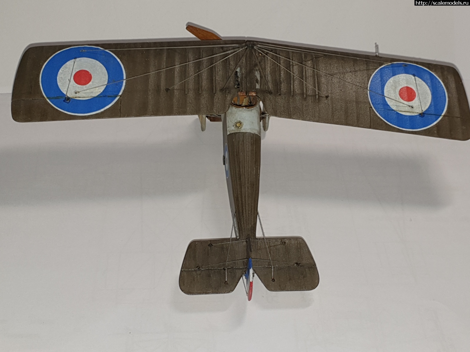 1623270745_20210609_232758.jpg : #1689881/ Sopwith swallow 1/48 Spin+ Eduard   