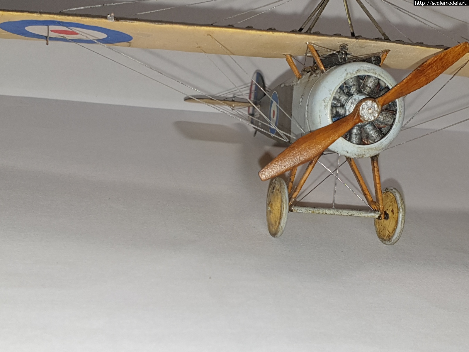 1623270867_20210609_232832.jpg : #1689881/ Sopwith swallow 1/48 Spin+ Eduard   