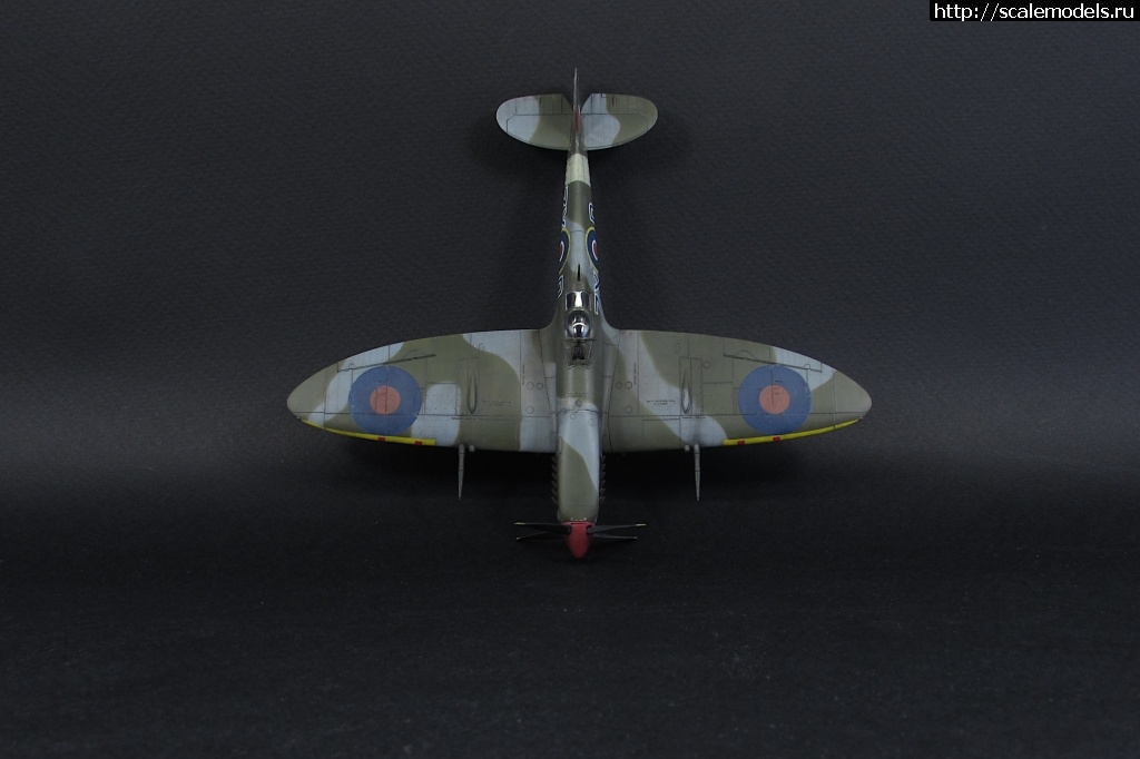 1623775852_16.JPG : #1690744/ Spitfire Mk. VIII 1/72 Eduard     