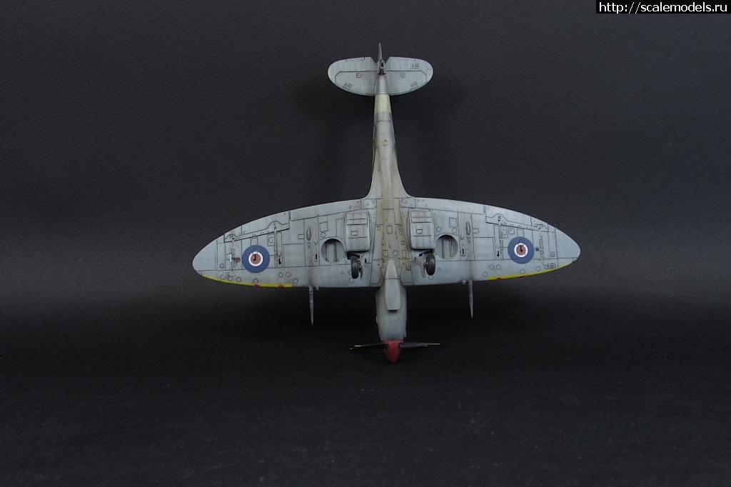 1623775853_17.JPG : #1690744/ Spitfire Mk. VIII 1/72 Eduard     