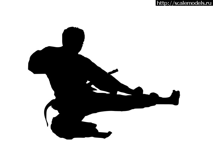 1623849437_Karate-Silhouette-PNG-Download-Image.png : #1691619/   1/48  