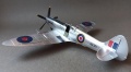 Eduard 1/48 Spitfire Mk.VIII + Airfix Mk.19 = 14 -   !