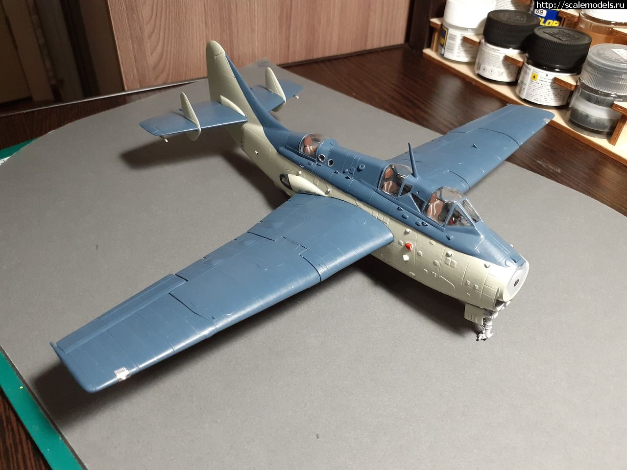 1628532924_56.jpg : #1697867/ Fairey Gannet AS Mk.I ( - ARKmodels) (1:72) !  