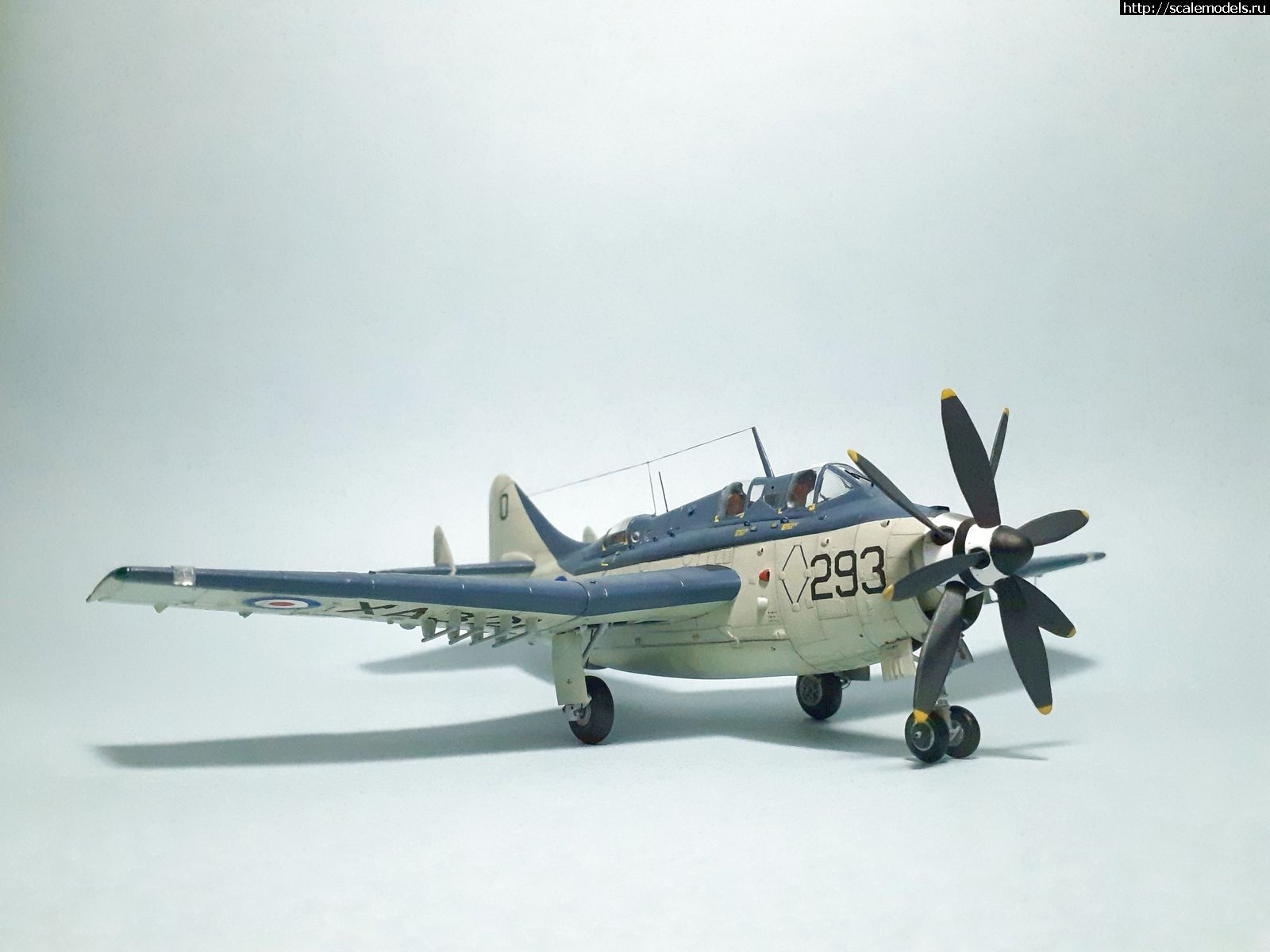 1629314954_2.jpg : #1699355/ Fairey Gannet AS Mk.I ( - ARKmodels) (1:72) !  