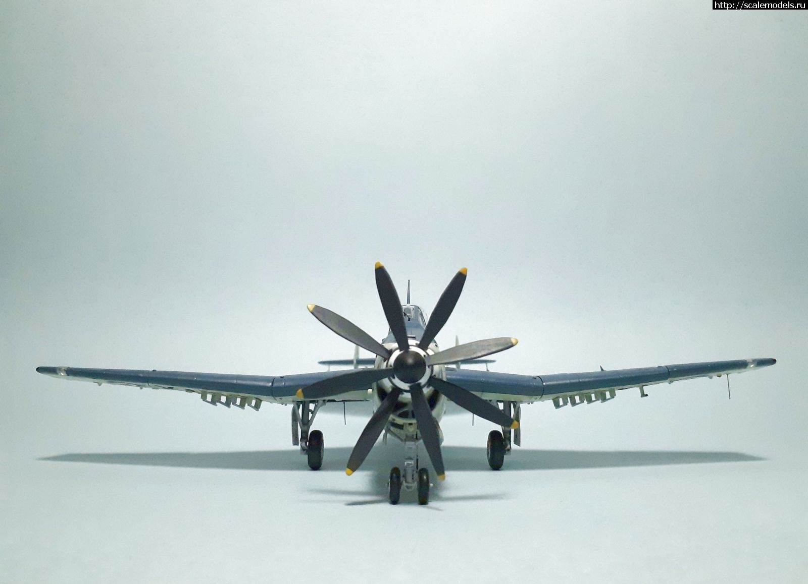 1629314959_3.jpg : #1699355/ Fairey Gannet AS Mk.I ( - ARKmodels) (1:72) !  