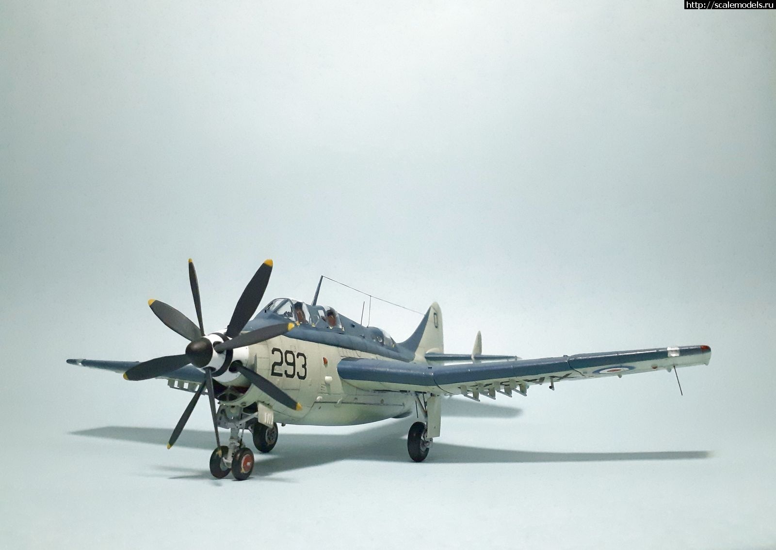 1629314965_4.jpg : #1699355/ Fairey Gannet AS Mk.I ( - ARKmodels) (1:72) !  