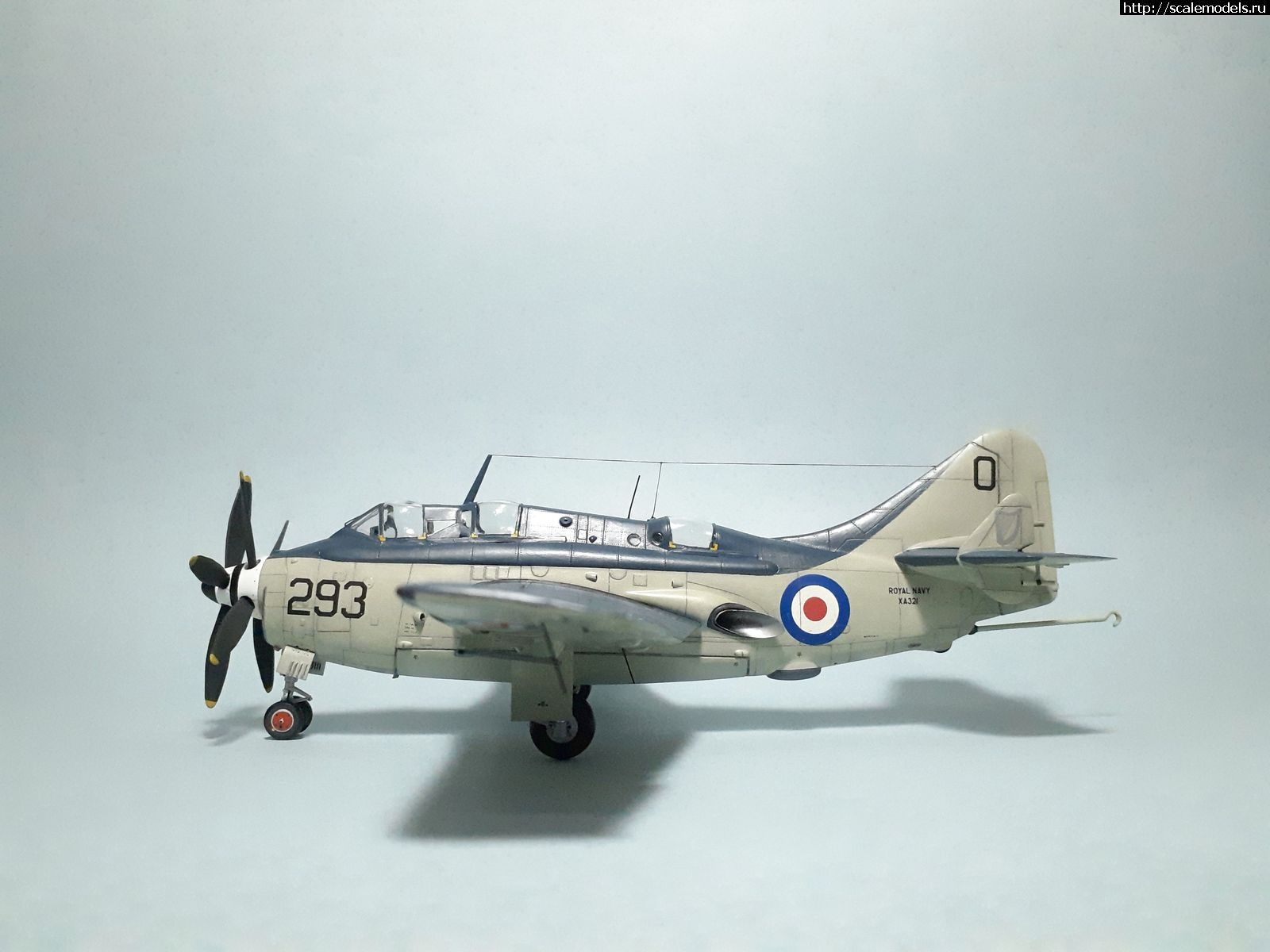 1629314974_6.jpg : #1699355/ Fairey Gannet AS Mk.I ( - ARKmodels) (1:72) !  