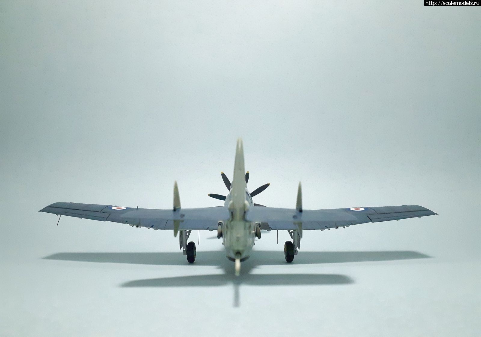 1629314990_9.jpg : #1699355/ Fairey Gannet AS Mk.I ( - ARKmodels) (1:72) !  