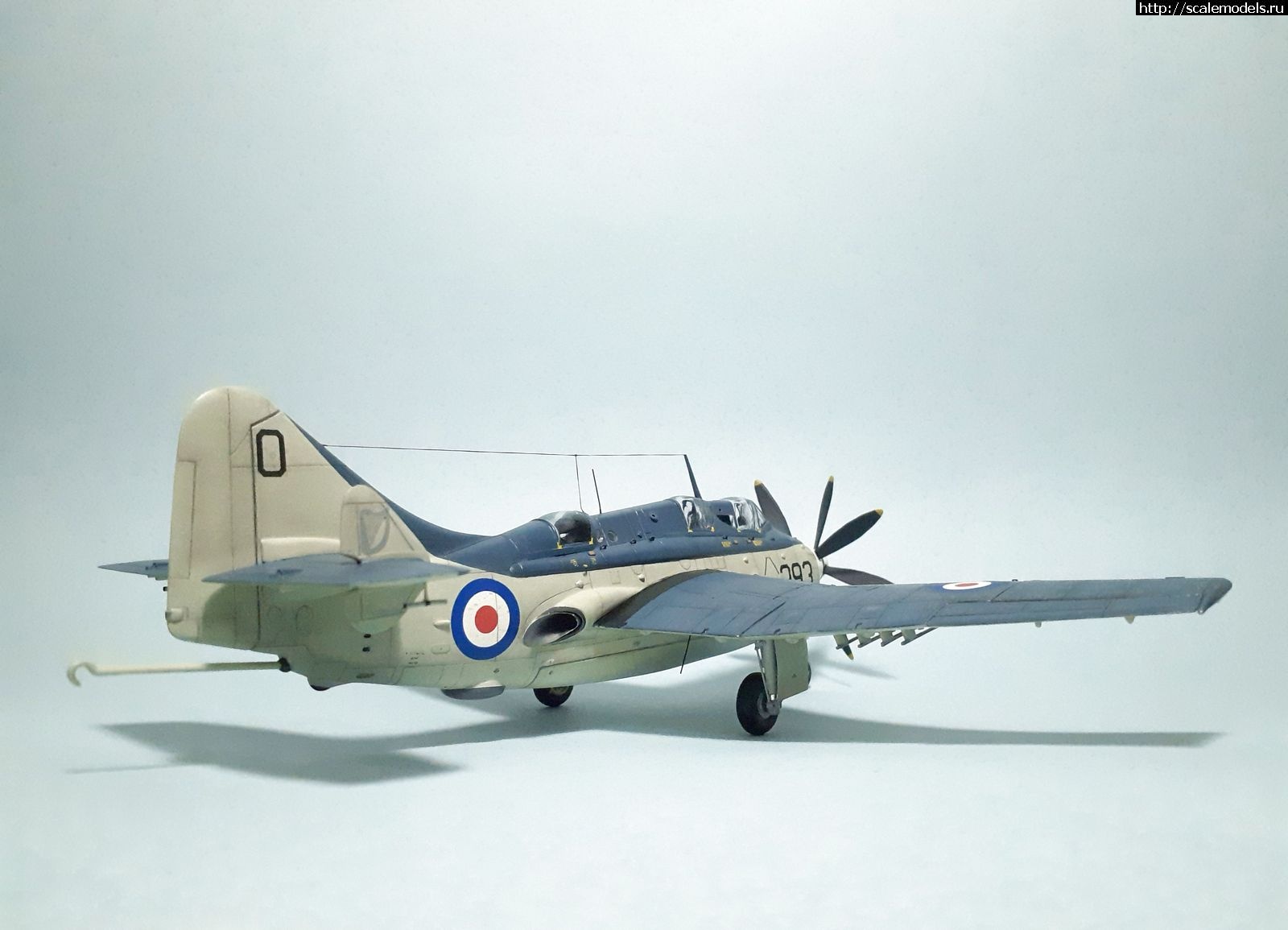 1629315000_11.jpg : #1699355/ Fairey Gannet AS Mk.I ( - ARKmodels) (1:72) !  