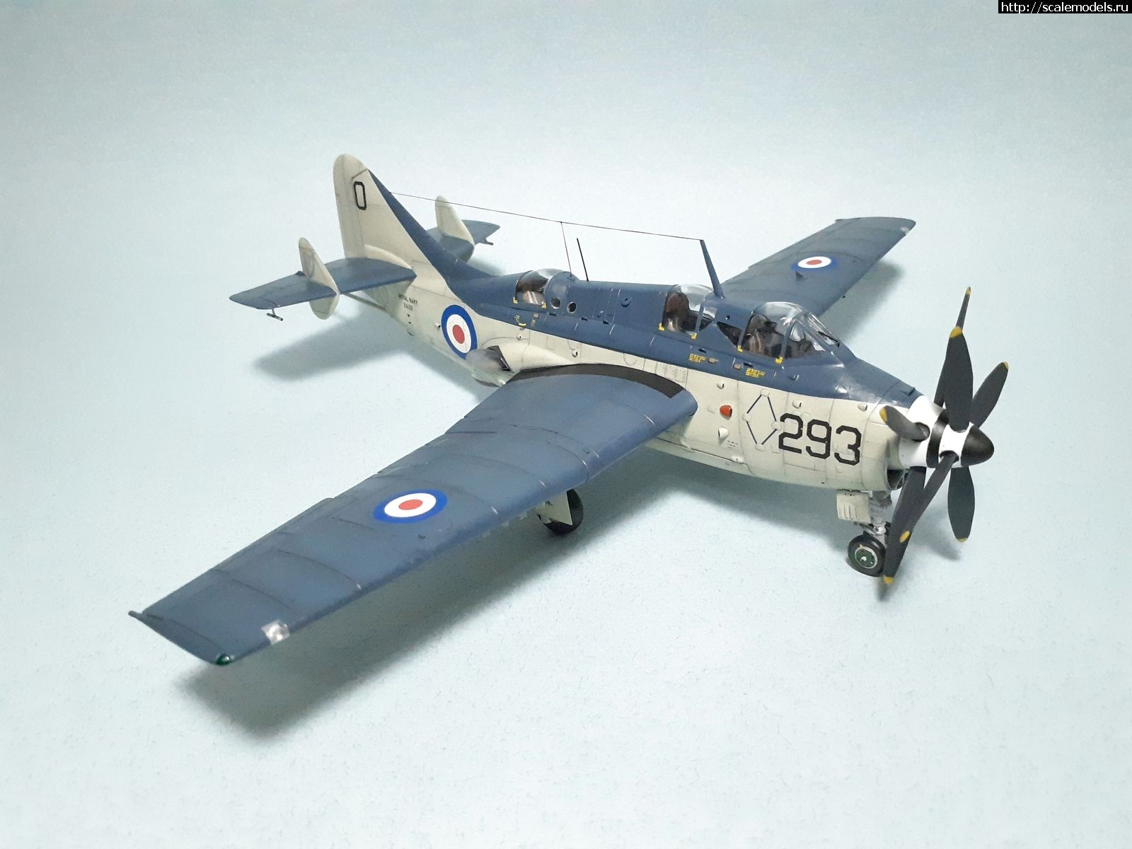 1629315014_13.jpg : #1699355/ Fairey Gannet AS Mk.I ( - ARKmodels) (1:72) !  