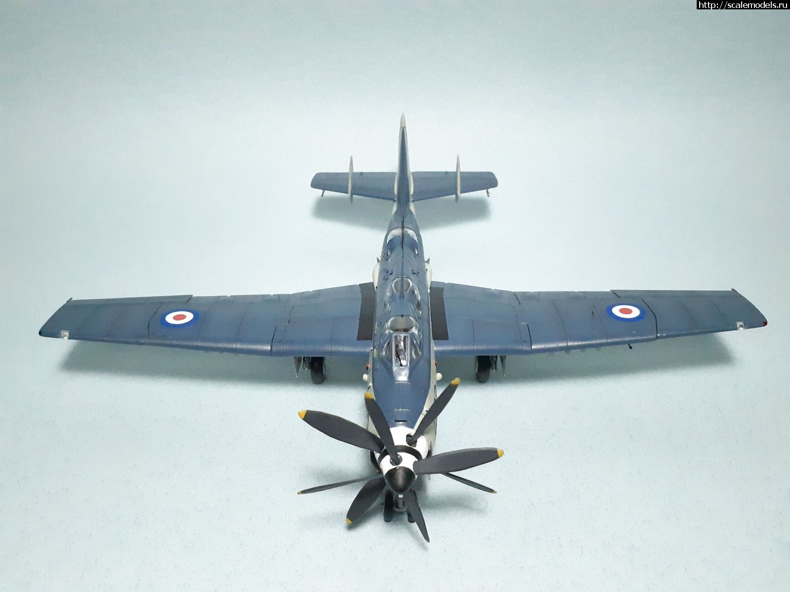 1629315025_15.jpg : #1699355/ Fairey Gannet AS Mk.I ( - ARKmodels) (1:72) !  