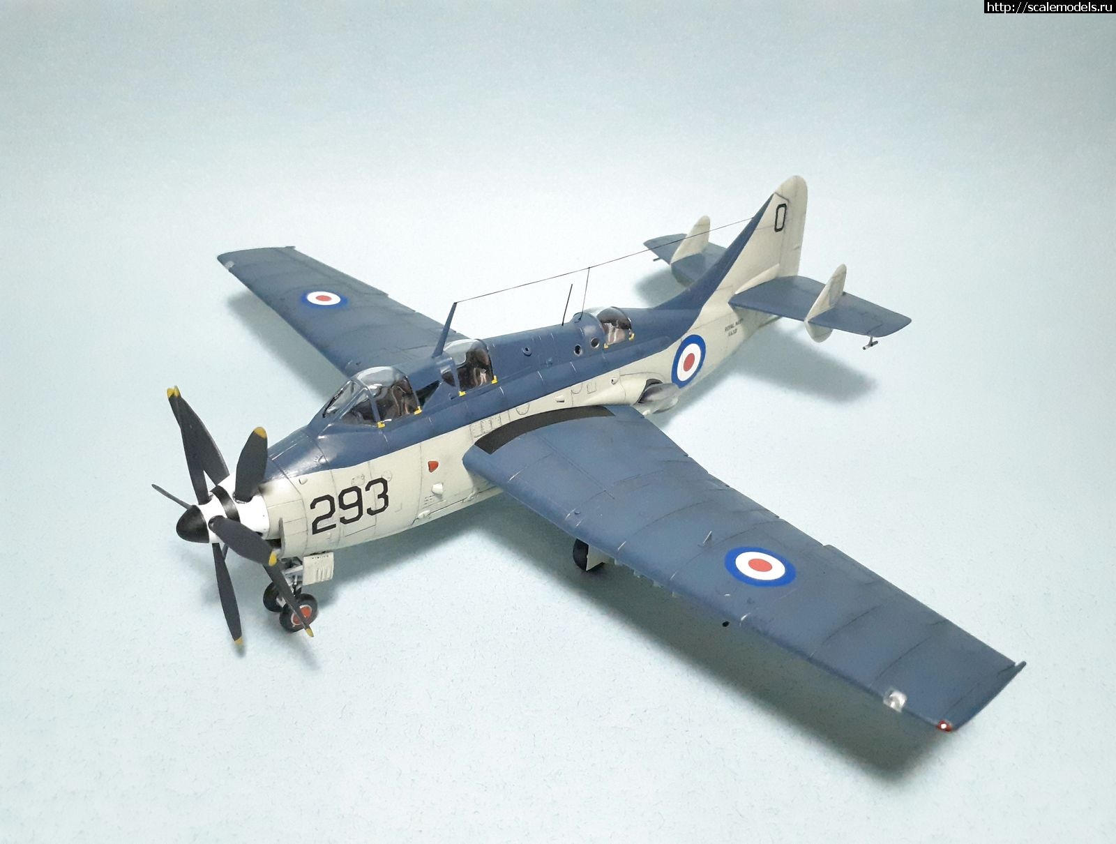 1629315034_17.jpg : #1699355/ Fairey Gannet AS Mk.I ( - ARKmodels) (1:72) !  