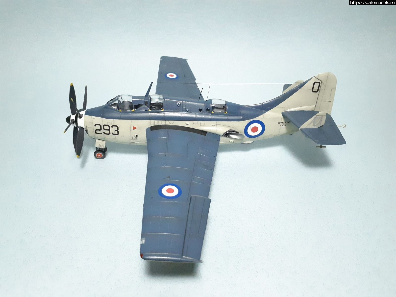 1629315039_18.jpg : #1699355/ Fairey Gannet AS Mk.I ( - ARKmodels) (1:72) !  