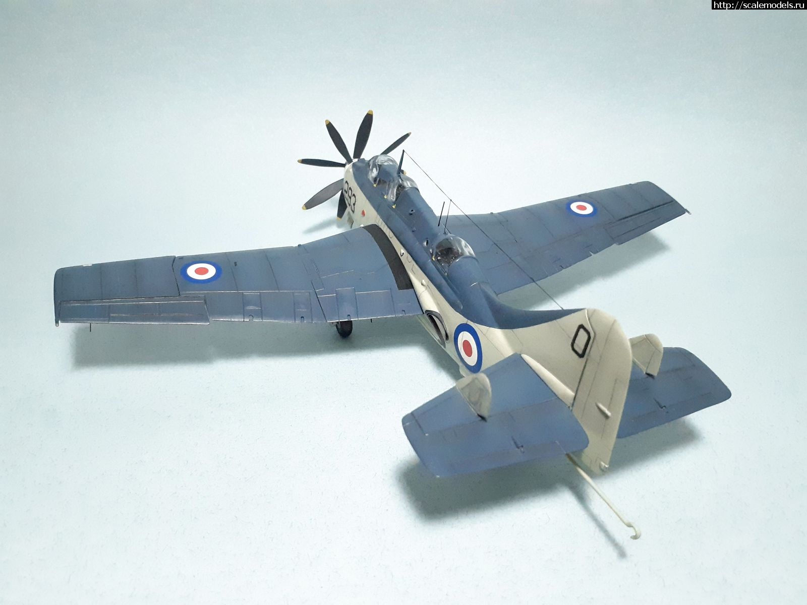 1629315050_20.jpg : #1699355/ Fairey Gannet AS Mk.I ( - ARKmodels) (1:72) !  