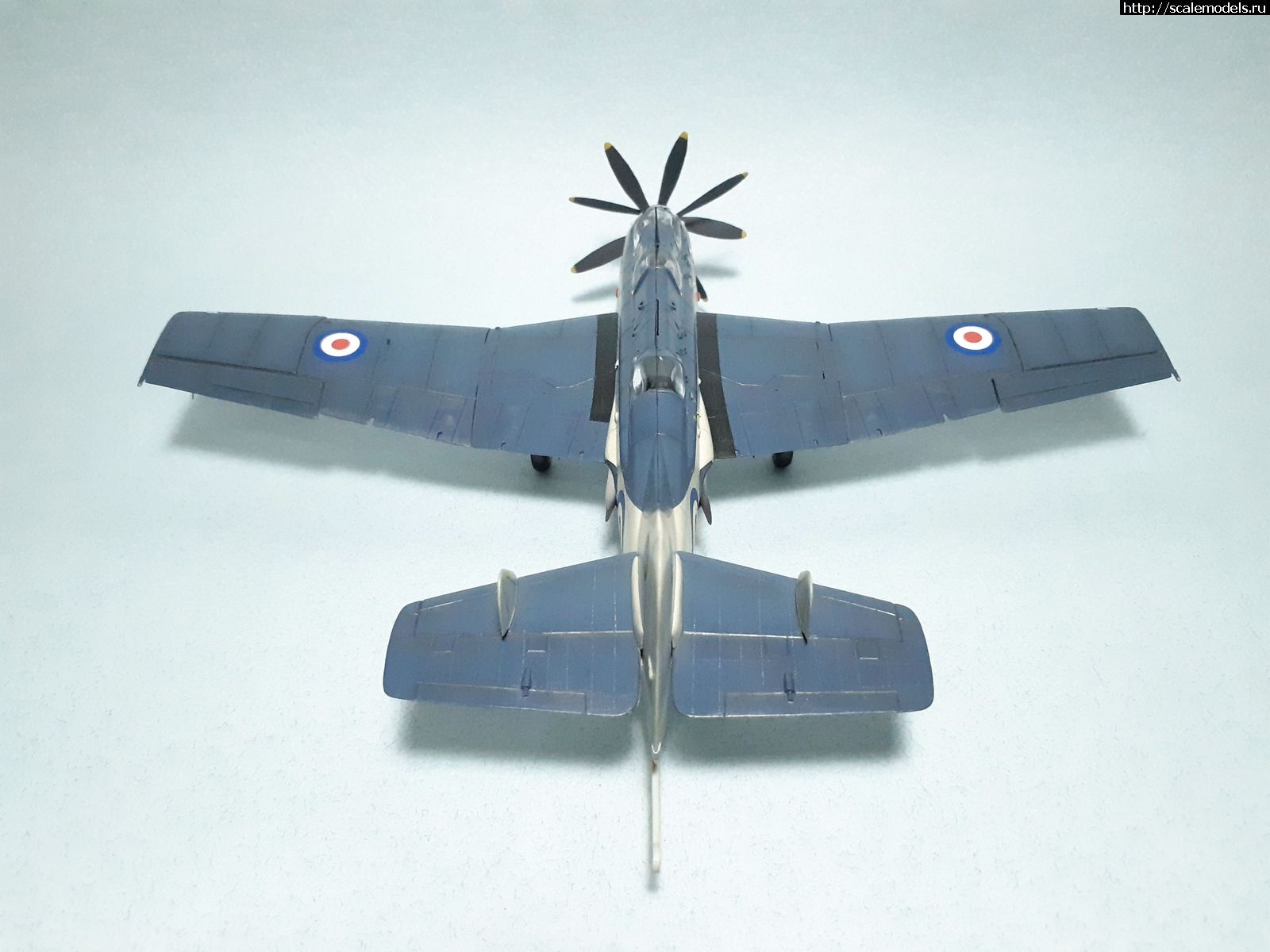 1629315057_21.jpg : #1699355/ Fairey Gannet AS Mk.I ( - ARKmodels) (1:72) !  