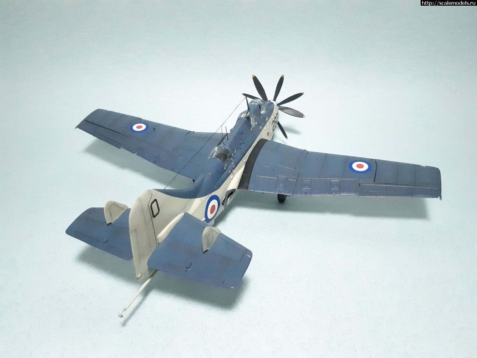 1629315065_22.jpg : #1699355/ Fairey Gannet AS Mk.I ( - ARKmodels) (1:72) !  