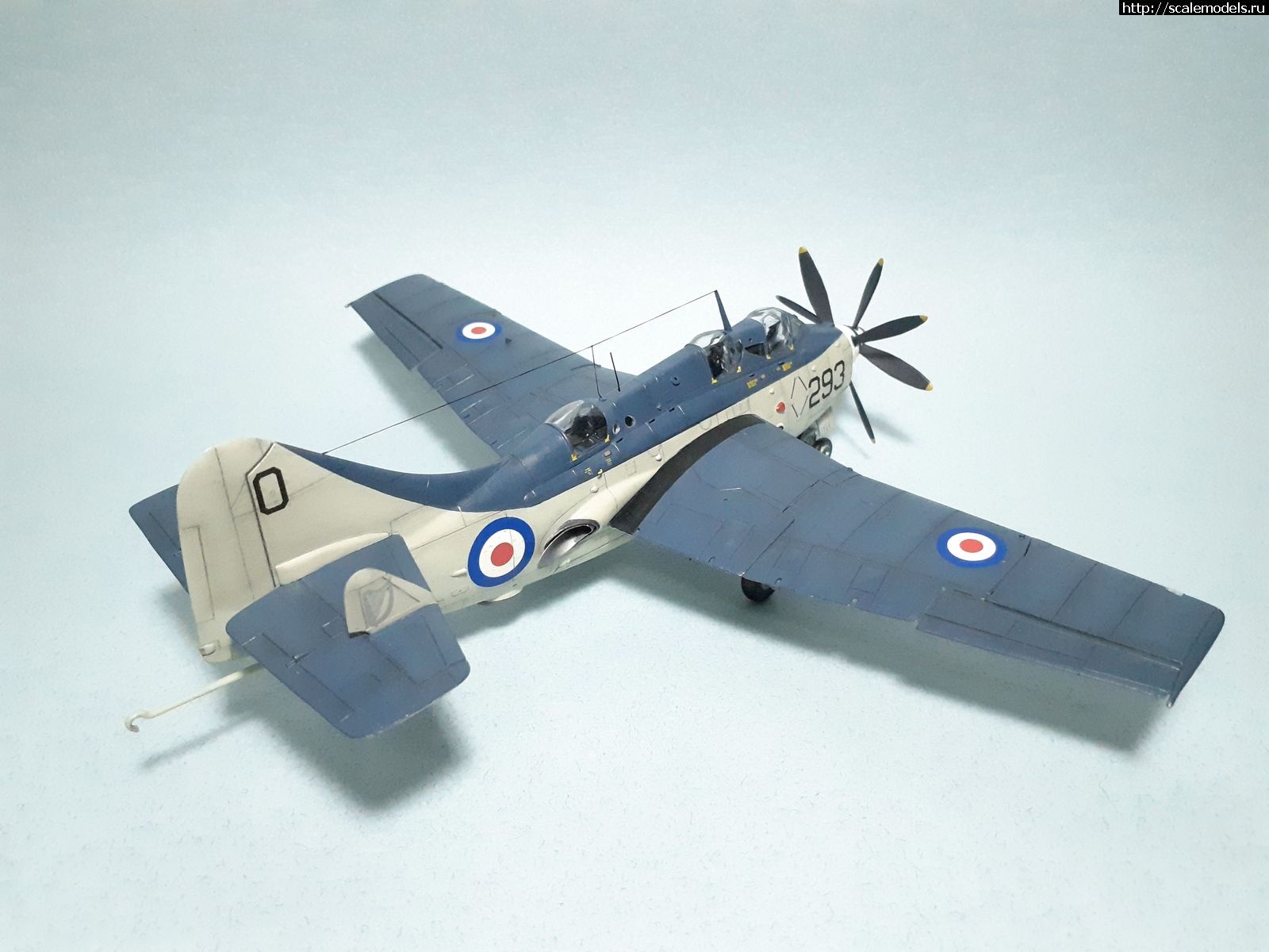 1629315071_23.jpg : #1699355/ Fairey Gannet AS Mk.I ( - ARKmodels) (1:72) !  