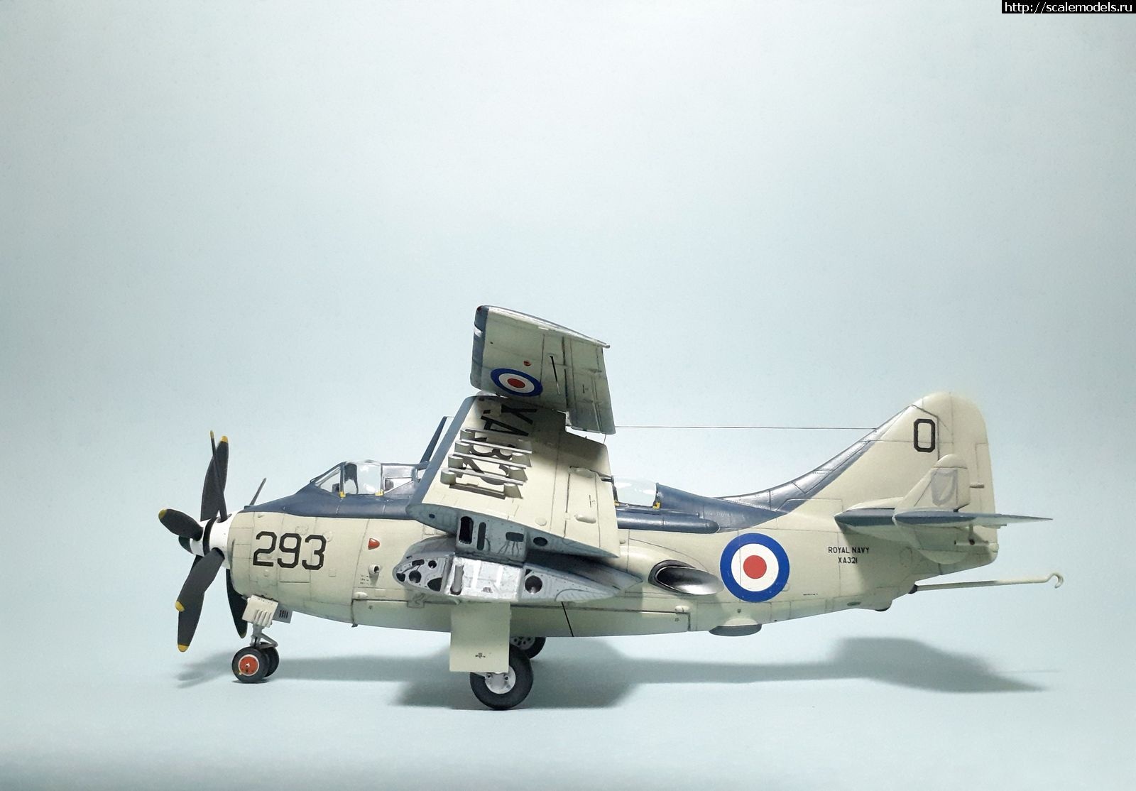 1629315219_30.jpg : #1699355/ Fairey Gannet AS Mk.I ( - ARKmodels) (1:72) !  