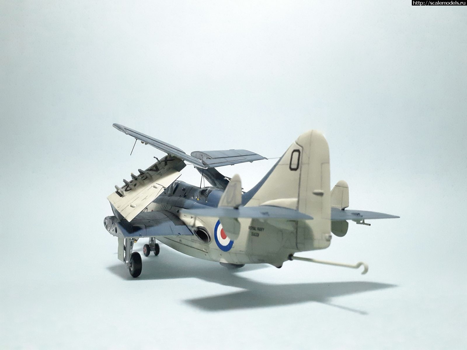 1629315246_32.jpg : #1699355/ Fairey Gannet AS Mk.I ( - ARKmodels) (1:72) !  