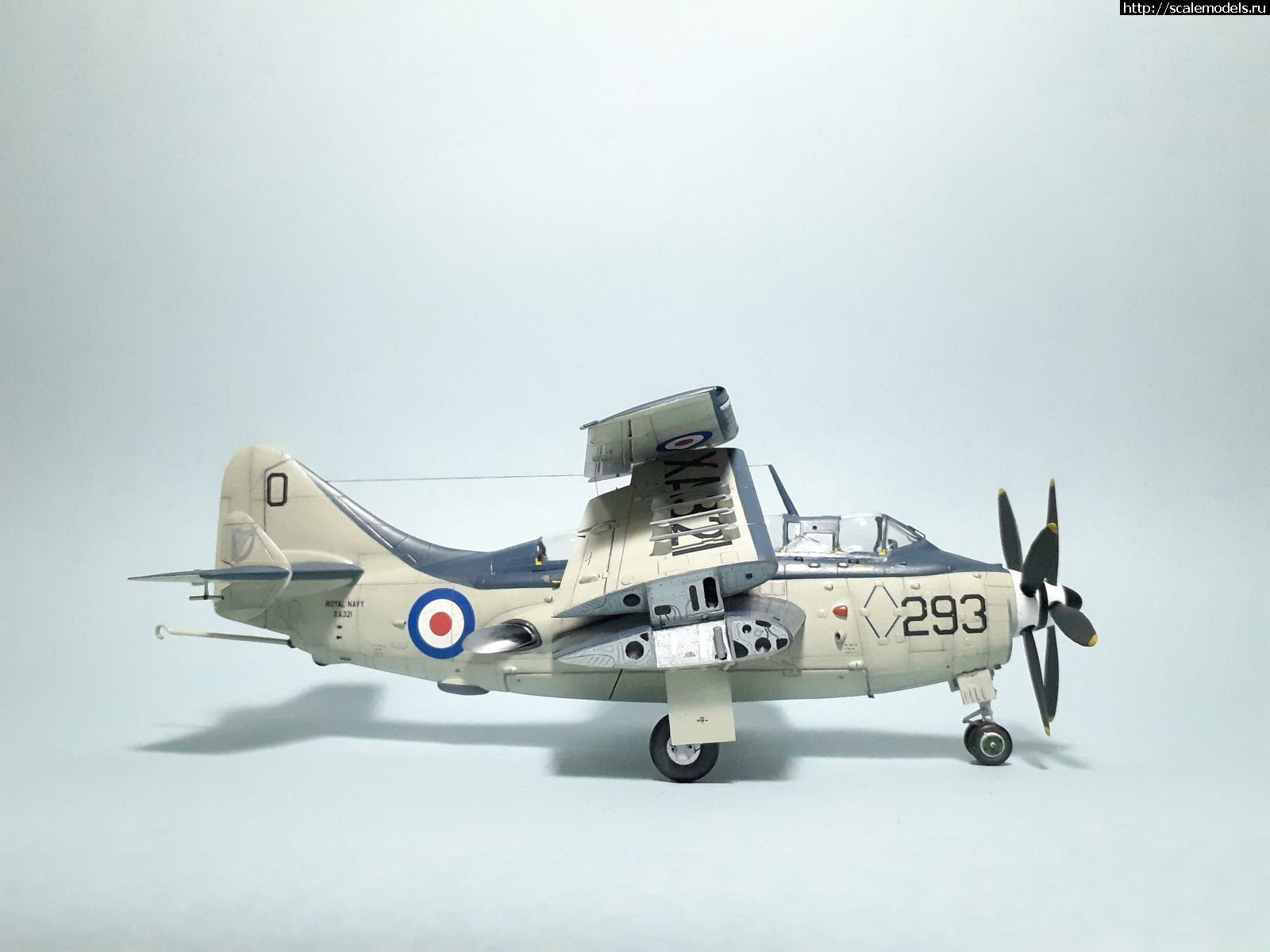 1629315266_35.jpg : #1699355/ Fairey Gannet AS Mk.I ( - ARKmodels) (1:72) !  