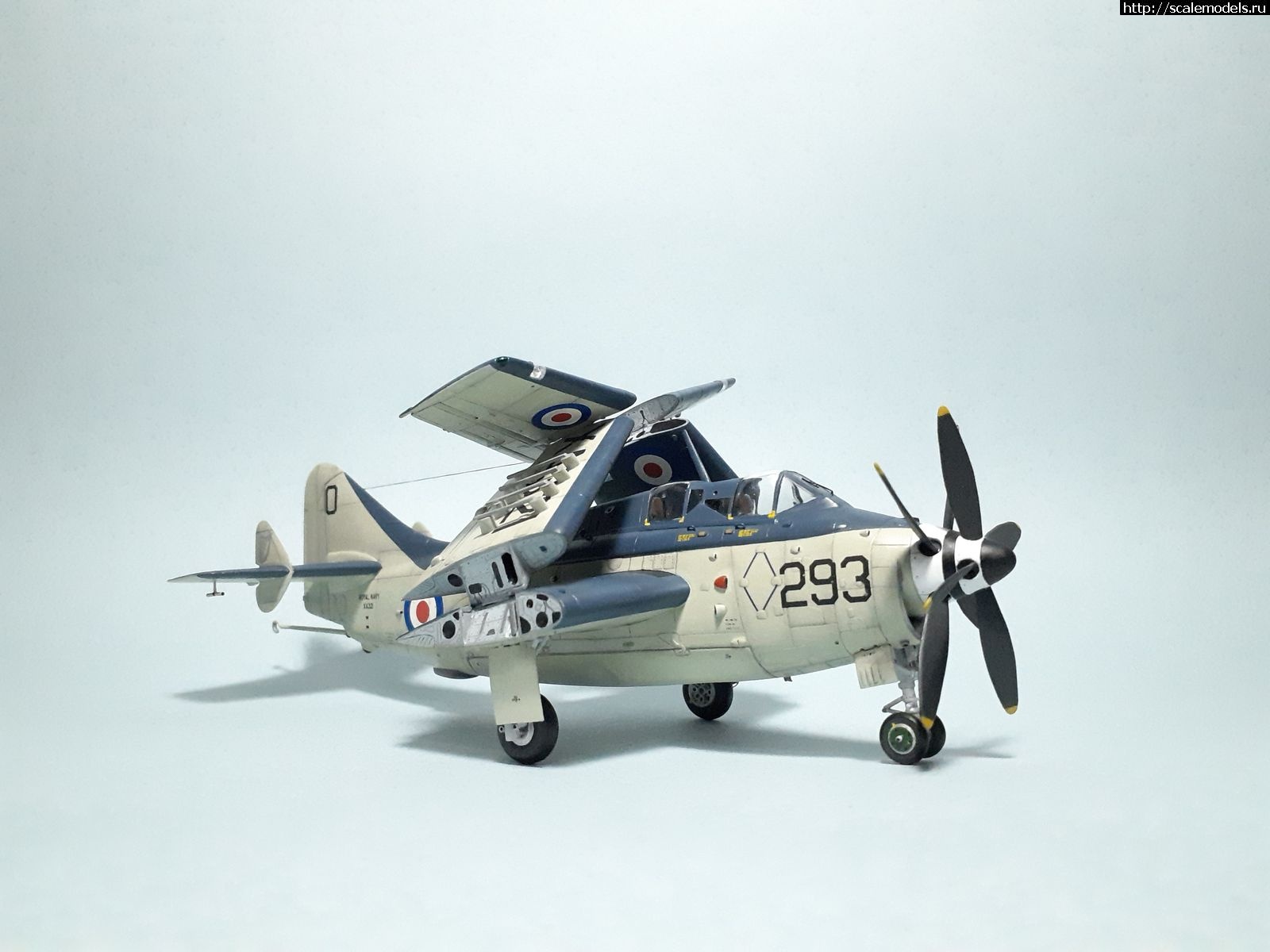 1629315272_36.jpg : #1699355/ Fairey Gannet AS Mk.I ( - ARKmodels) (1:72) !  