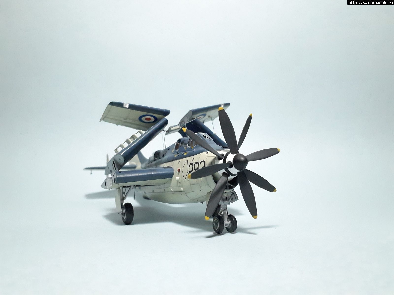 1629315277_37.jpg : #1699355/ Fairey Gannet AS Mk.I ( - ARKmodels) (1:72) !  