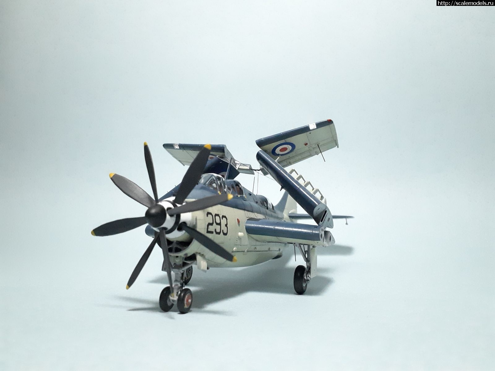 1629315283_38.jpg : #1699355/ Fairey Gannet AS Mk.I ( - ARKmodels) (1:72) !  