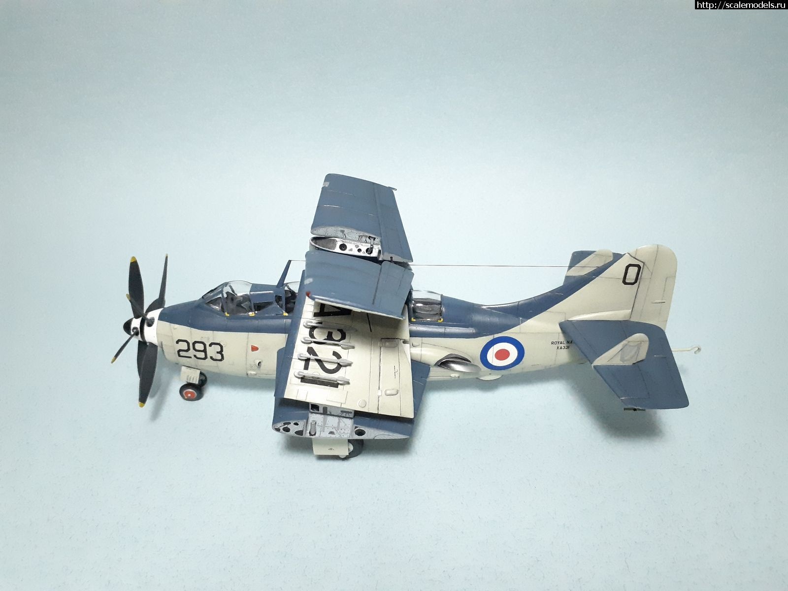 1629315300_41.jpg : #1699355/ Fairey Gannet AS Mk.I ( - ARKmodels) (1:72) !  