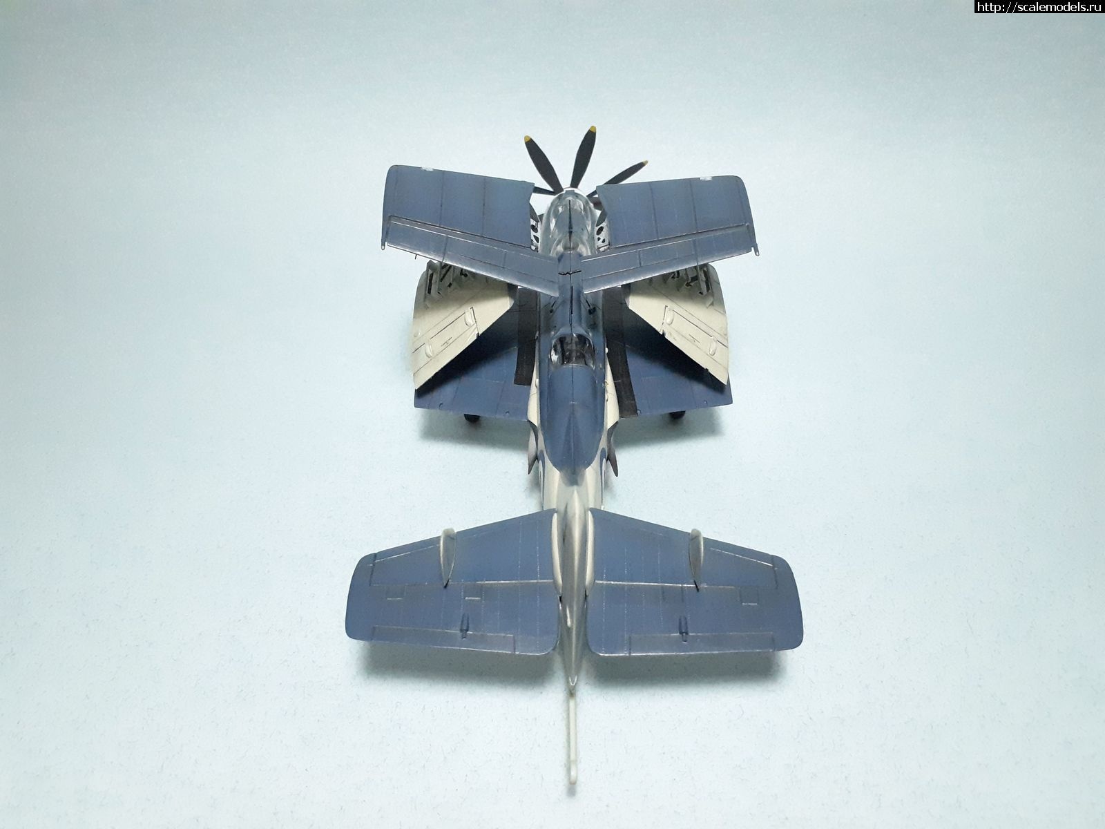 1629315372_44.jpg : #1699355/ Fairey Gannet AS Mk.I ( - ARKmodels) (1:72) !  