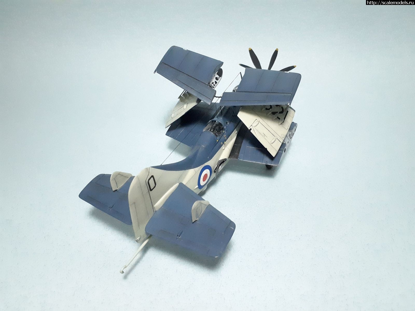 1629315392_45.jpg : #1699355/ Fairey Gannet AS Mk.I ( - ARKmodels) (1:72) !  