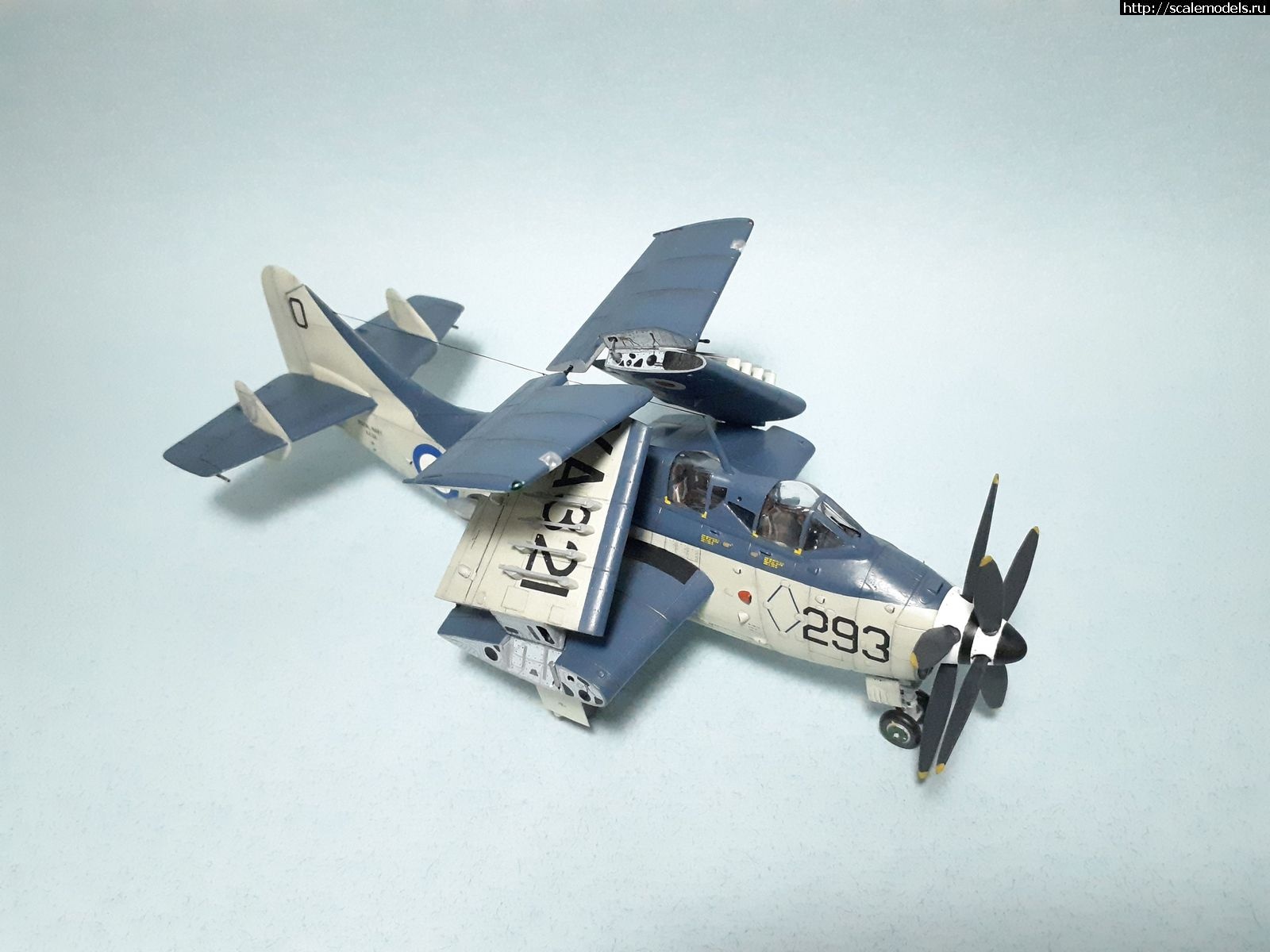 1629315407_48.jpg : #1699355/ Fairey Gannet AS Mk.I ( - ARKmodels) (1:72) !  