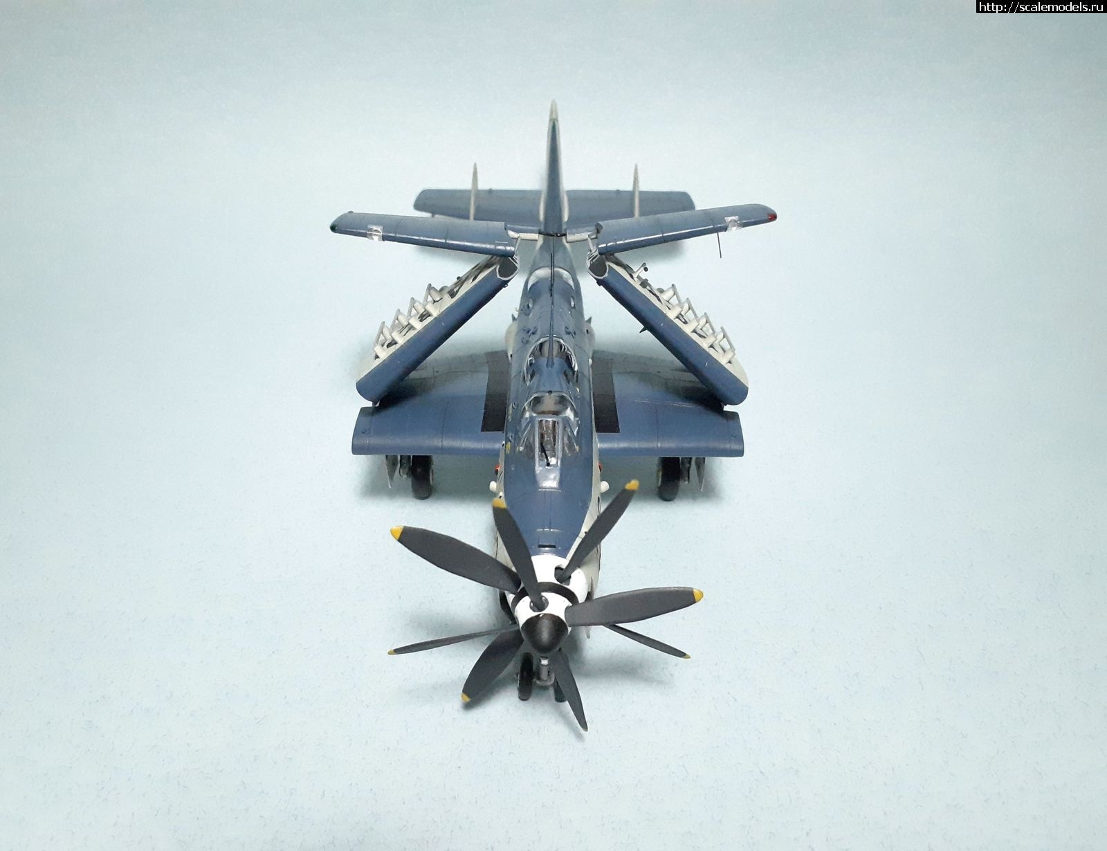 1629315417_50.jpg : #1699355/ Fairey Gannet AS Mk.I ( - ARKmodels) (1:72) !  