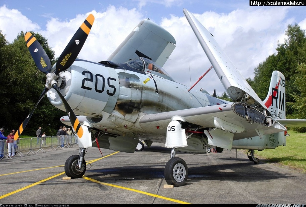 1629723854_3584952a04864a3ee7033725082c656f.jpg : #1699966/ Skyraider -      