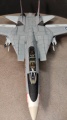 Hobbyboss 1/72 F-14A(B) Tomcat VF-1 Volf Pack NK-100 USS Enterprise