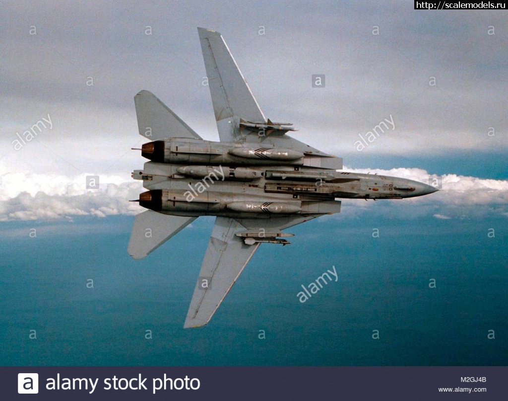 1633033814_an-f-14b-tomcat-assigned-to-the-dogs-of-fighter-squadron-one-four-M2GJ4B.jpg : #1705235/ F-14 -       