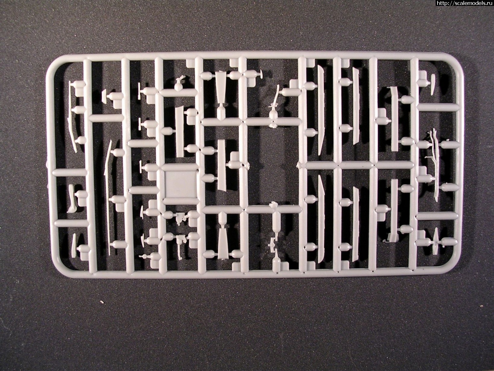 1634572698_F2.JPG :  Modelsvit 1/72 -173 ( )  