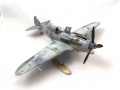 ICM 1/48 -3