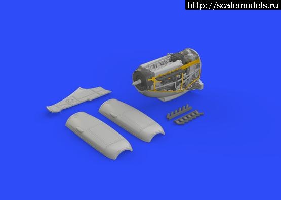 1636645444_672126_4.jpg :      1/72  